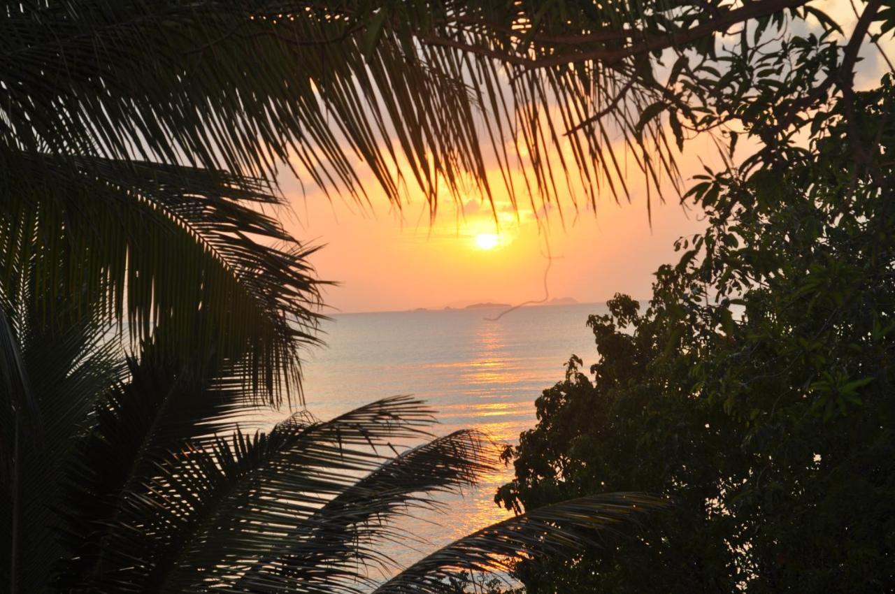 Cocovana Beach Resort (Adults Only) Busuanga Luaran gambar
