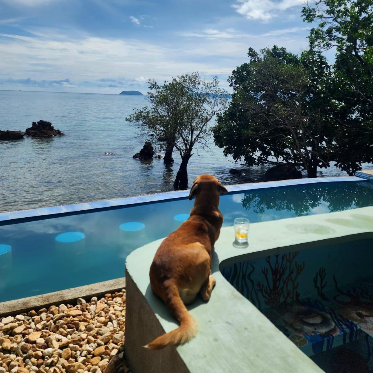 Cocovana Beach Resort (Adults Only) Busuanga Luaran gambar